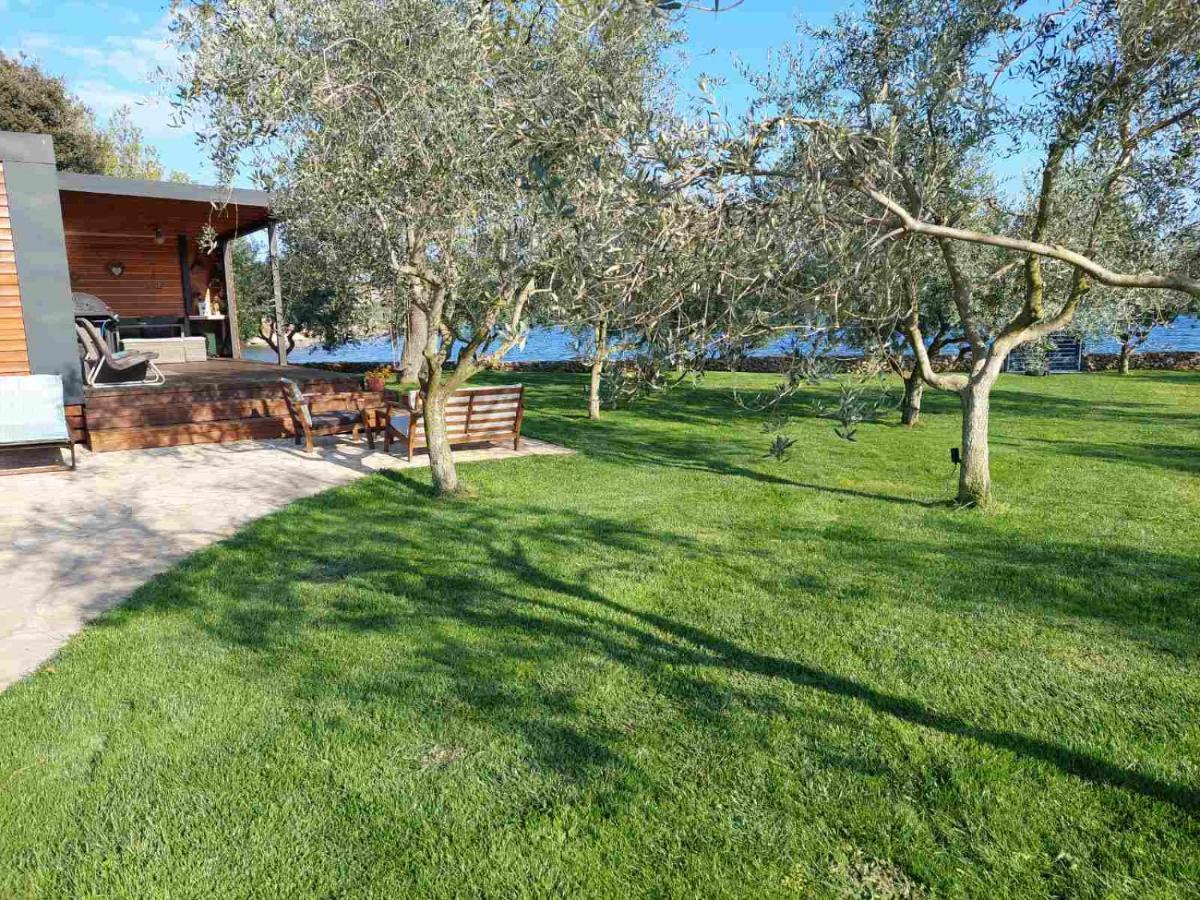 Beach House Ive With Jacuzzi, Pool, Playground And Bbq In An Olive Grove With A Beach, Pomer - Istria Εξωτερικό φωτογραφία