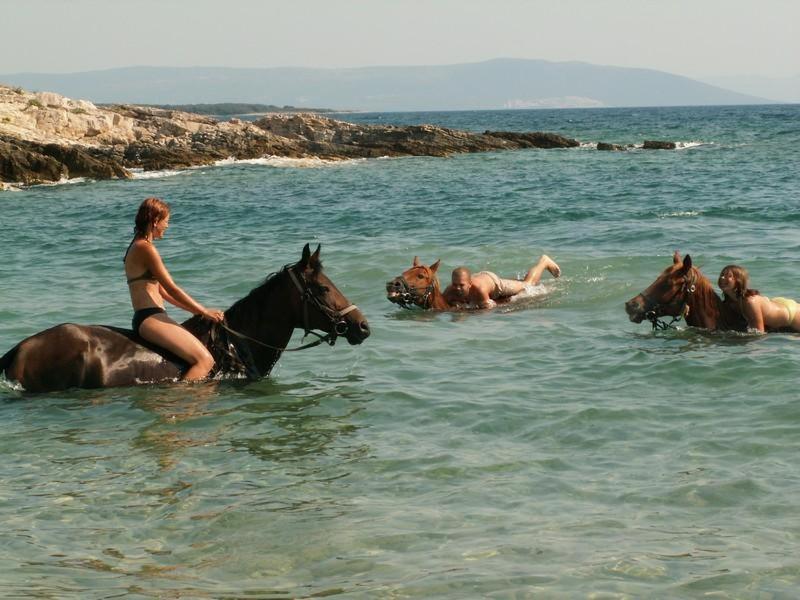 Beach House Ive With Jacuzzi, Pool, Playground And Bbq In An Olive Grove With A Beach, Pomer - Istria Εξωτερικό φωτογραφία